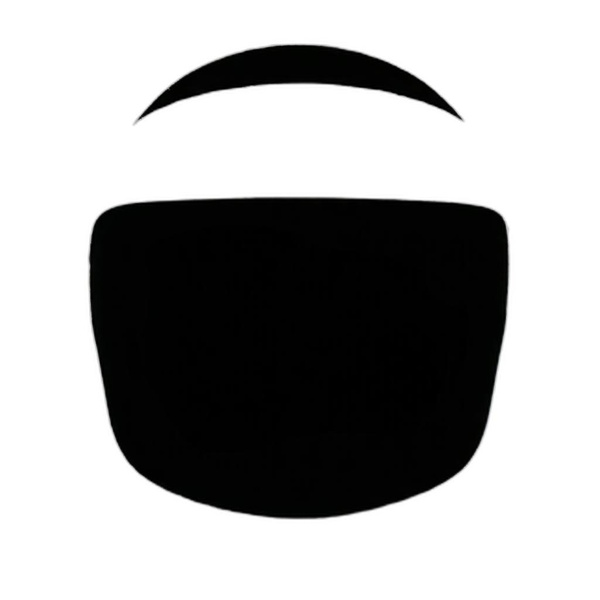 Sentinel Visor Helmet